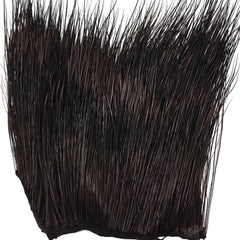 Peccary