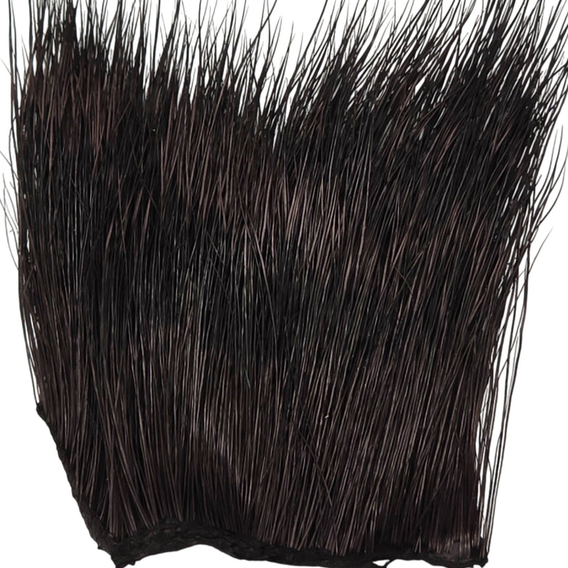 Peccary