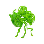 Chartreuse
