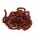 The Hairy Caterpillar