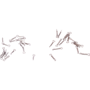 Chocklett Factory Game Changer Micro Shanks