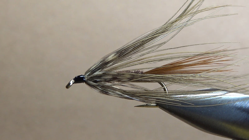 Carey Special