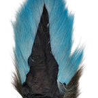 Carribean Blue
