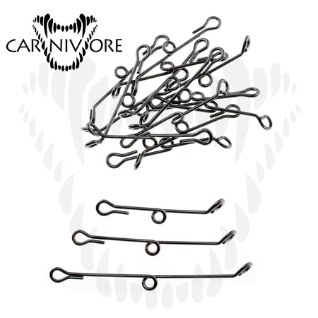 Carnivore Shank