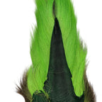 Chartreuse