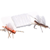 Chubby White Wing Material
