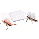 Chubby White Wing Material