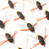 CicadaFlyWallpaper_1024x1024_a8067976-bc76-407f-9a