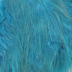 silver doctor blue