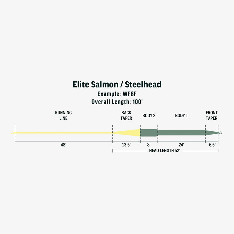 EliteSalmon_steelheadcopy