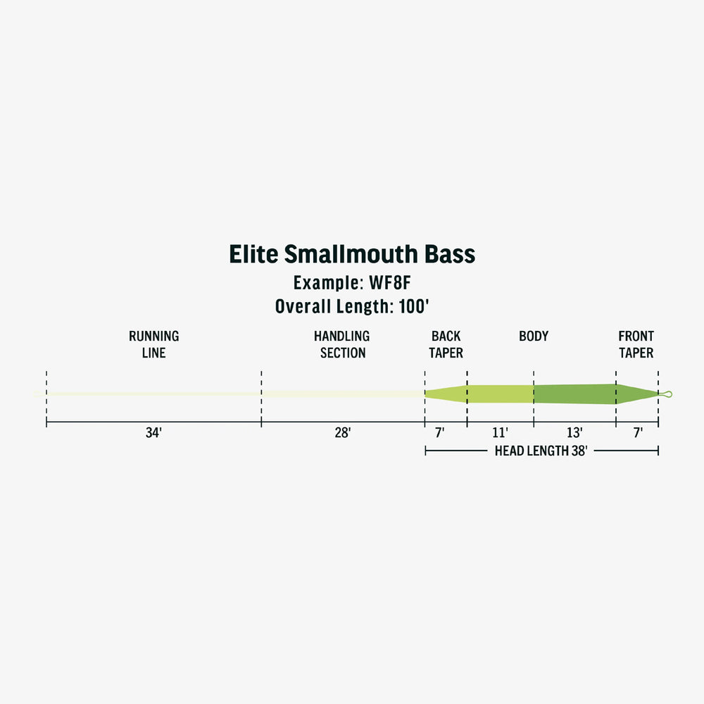 EliteSmallmouthbasscopy