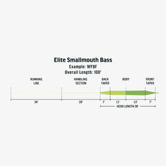 EliteSmallmouthbasscopy