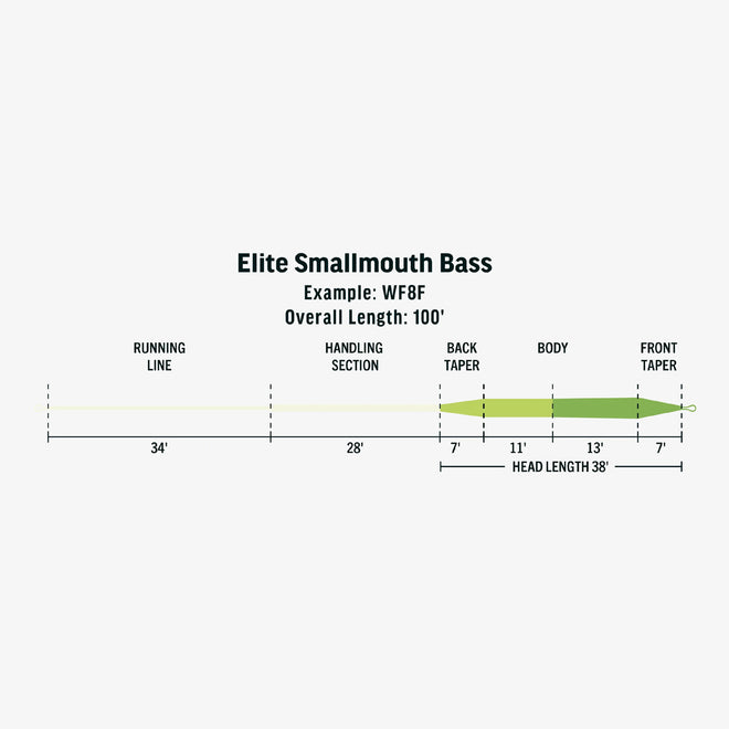 EliteSmallmouthbasscopy