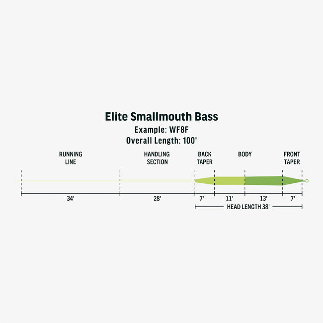 Elite Smallmouth Bass Fly Line