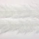 FBB01_white