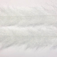 FBB01_white