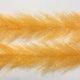 FBB04_orange