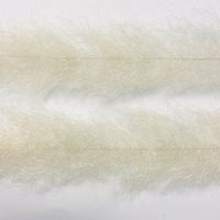 FBB09_shrimp
