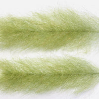 FBB22_olive