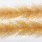 Redfish