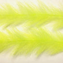 FBB24_elec_yellow