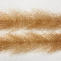 FBB26_brown