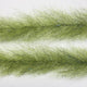FBB28_peacock