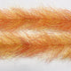 FBB36_hot_orange