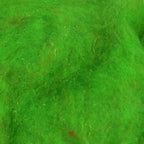 Insect Green