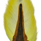 Fluorescent Lemon