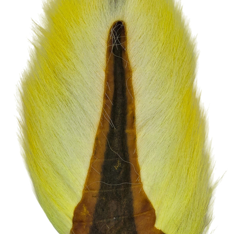 Bucktail