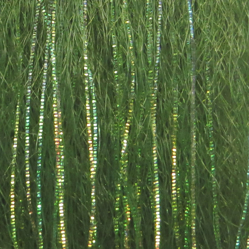 FNS17-olive