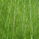 FNS25-chartreusemottled