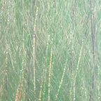Natural