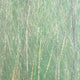 FNS28-natural