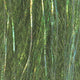 FNS38-peacock
