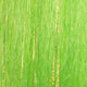 FNS41-fluorecentchartreuse