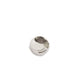 Silver Nickel