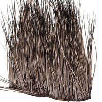 Peccary