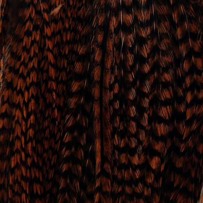 GrizzlyCoachmanBrown