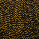 GrizzlyDarkOlive_083515_330d312b-15d0-48e0-8bc9-17