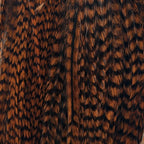 grizzly dyed brown