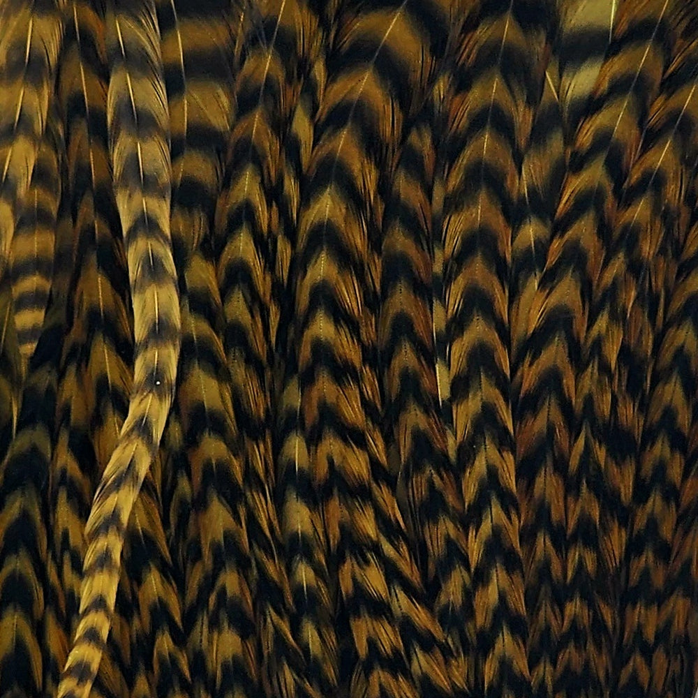 Grizzlygoldenolive_115105