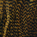 Grizzlygoldenolive_115105