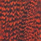 grizzly dyed orange
