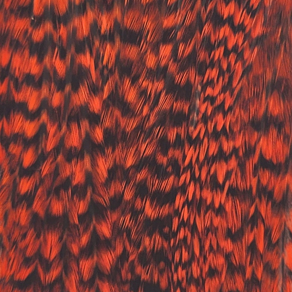 Grizzlyorange_115309