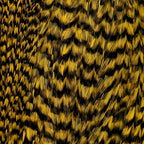 grizzly / yellow