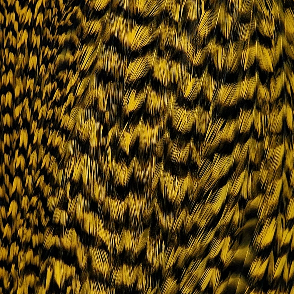 Grizzlyyellow_115600
