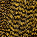 Grizzlyyellow_115600