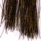 HSFM069OLB